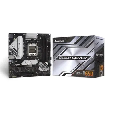 Biostar B650M-SILVER DDR5 AM5 microATX 192GB RAID 2.5GbE