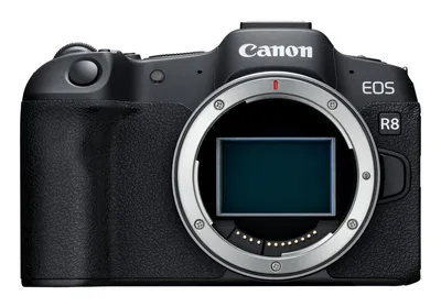 Canon EOS R8 MILC 24.2 MP CMOS Cámara Negra