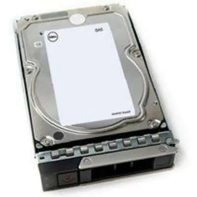 DELL 161-BCJX disco duro interno 12 TB 7200 RPM 3.5" NL-SAS