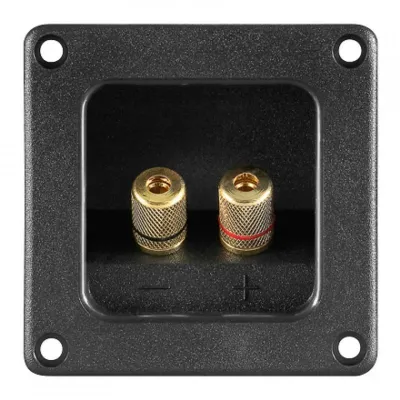 Goobay Bornes Dorados Altavoz Cuadrado Negro – Pack de 2