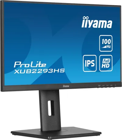 iiyama ProLite XUB2293HS-B6 21.5" Full HD LED Negro