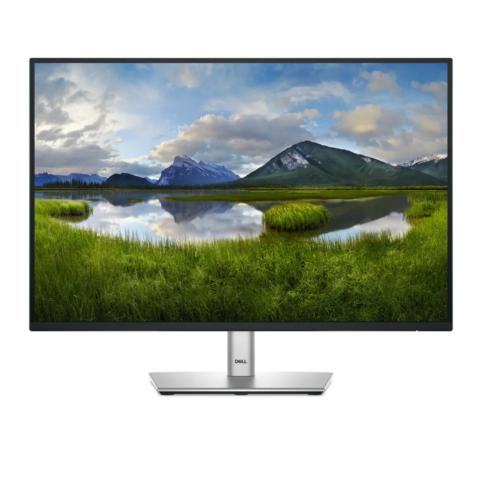 DELL P Series P2425 24.1" WUXGA LCD Monitor Negro