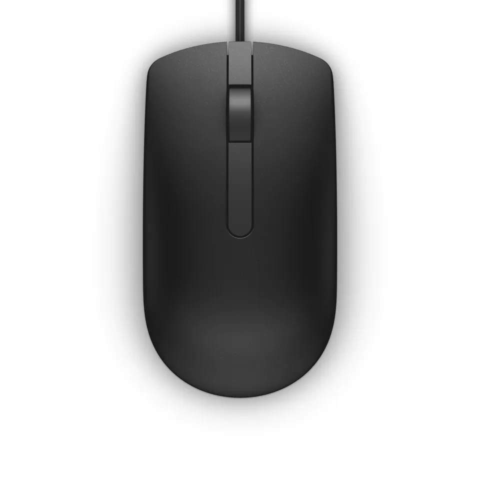 DELL MS116 Ratón Oficina Ambidextro USB Óptico 1000 DPI