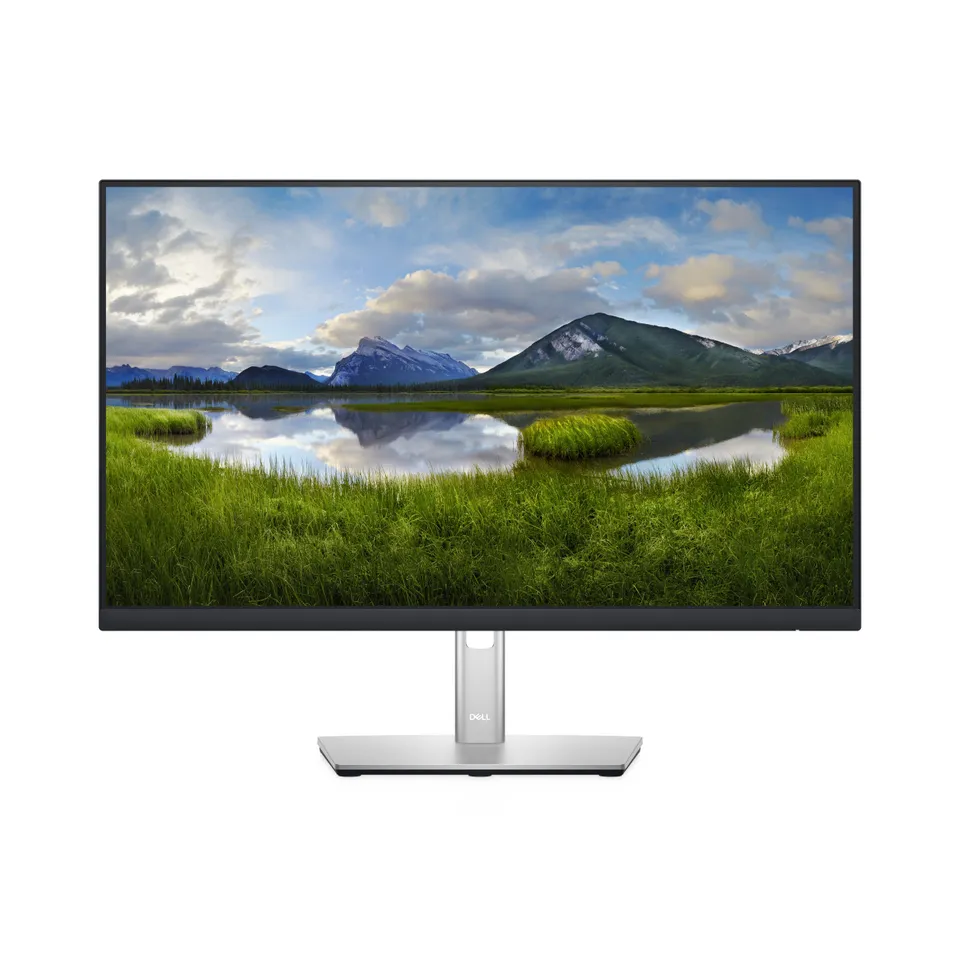DELL P2422H 24-Inch Monitor