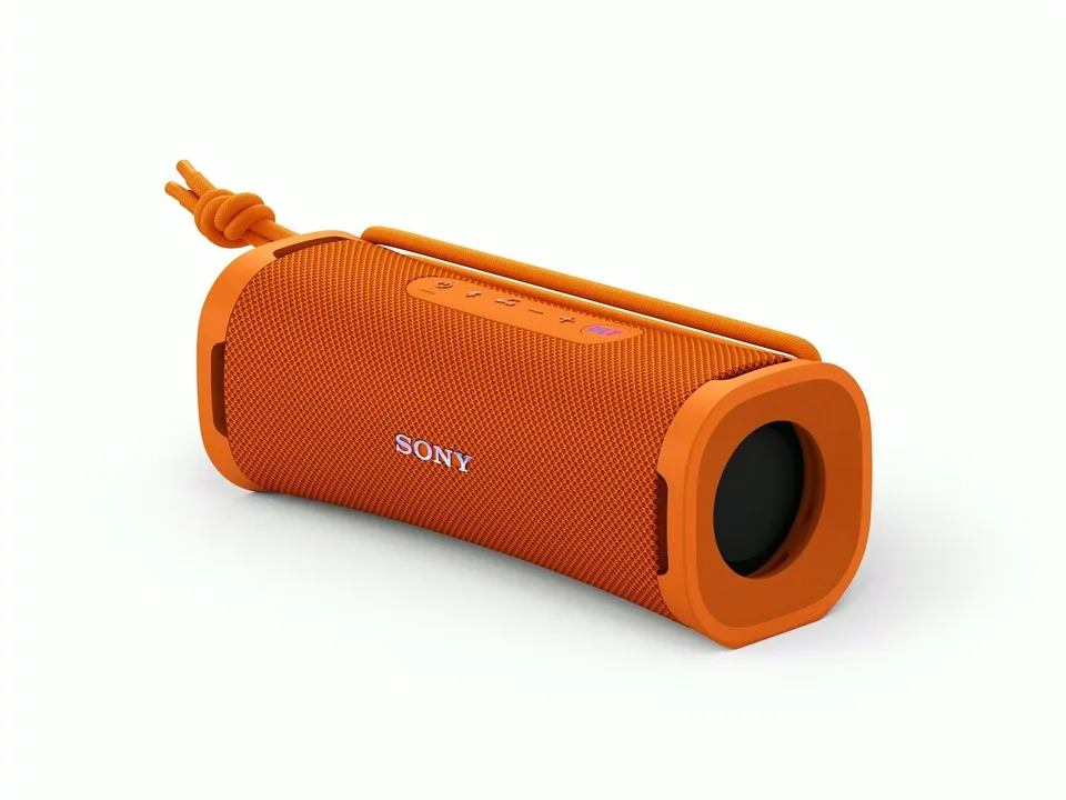 Sony SRSULT10D Negro 30 W Altavoz Portátil Monofónico