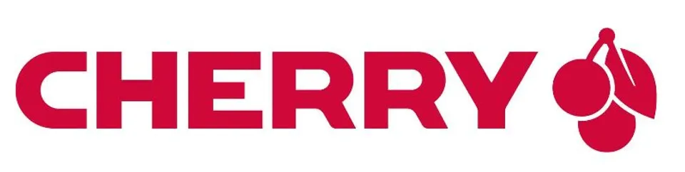 CHERRY DW 9100 SLIM Wireless RF+Bluetooth AZERTY Negro+Ratón