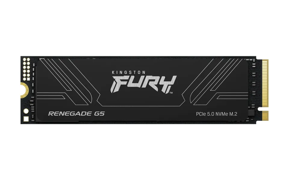 Kingston FURY RENEGADE G5 1TB M.2 2280 NVMe SSD