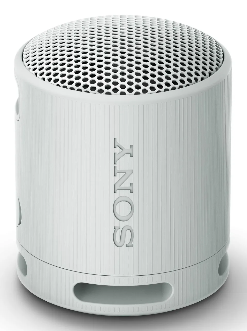 Sony SRS-XB100 Gris