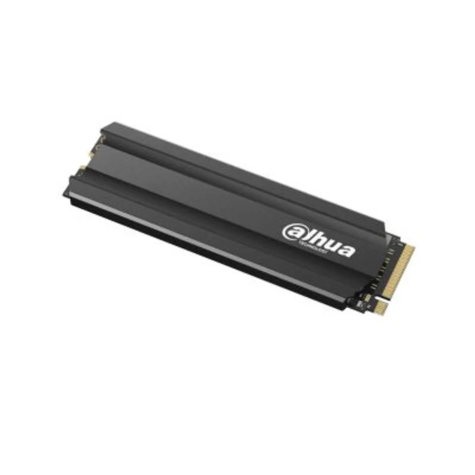 Dahua Technology DHI-SSD-E900N256G 256 GB M.2 PCIe 3.0 NVMe