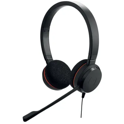 Jabra Evolve 20 Auriculares Alámbrico USB Type-C/Type-A Negro
