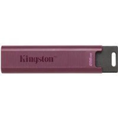 Kingston Technology DataTraveler 256GB Max Type-A 1000R/900W USB 3.2 Gen 2
