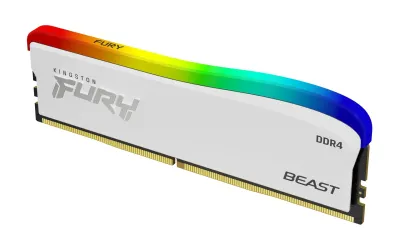 Kingston Technology FURY Beast RGB Special Edition 16GB DDR4