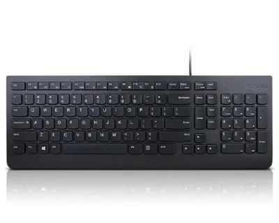 Lenovo Essential USB Teclado QWERTY Español Negro