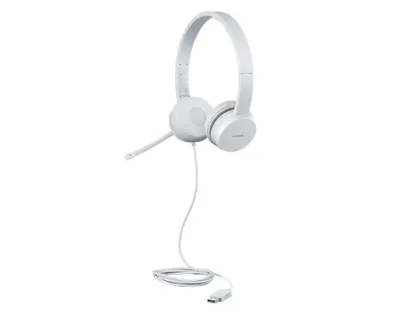 Lenovo GXD1E71385 auricular y casco Auriculares Alámbrico Muñeca Llamadas/Música USB tipo A Gris