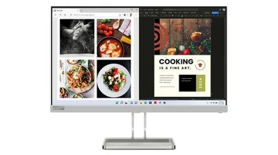 Lenovo L24i-40 23.8" 1920x1080 Full HD LED Monitor Gris