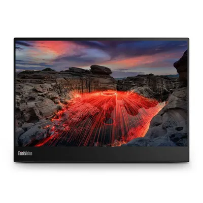 Lenovo ThinkVision M14t 14" Pantalla táctil 2240×1400