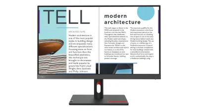 Lenovo ThinkVision S25e-30 Pantalla LED 24.5" Full HD Gris