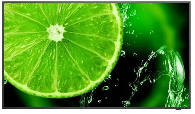 NEC MultiSync E498 49" 4K IPS 350cd/m² Negro