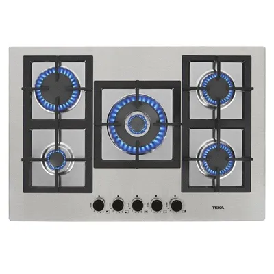 Placa de gas Teka EFX 70.1 5G AI AL DR CI 75 cm Acero Inoxidable