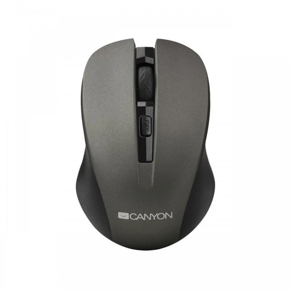 Canyon CNE-CMSW1G Ratón Inalámbrico 1200 DPI Gris