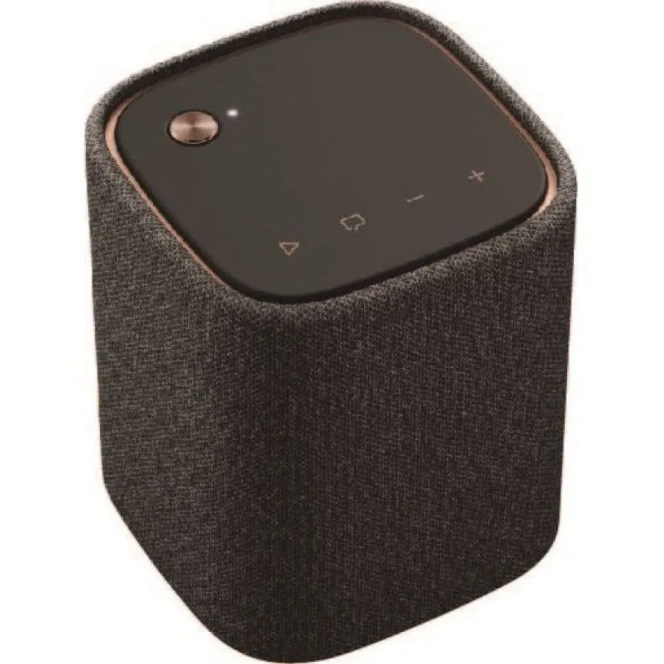 Yamaha WS-B1A Altavoz Portátil Bluetooth Gris Carbón