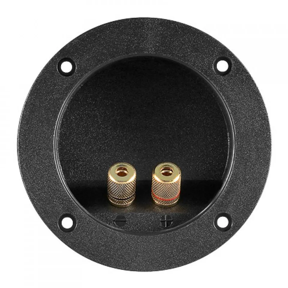 Goobay Bornes Dorados para Altavoz Redondo Negro, Pack 2