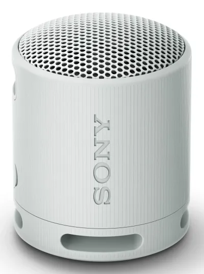 Sony SRS-XB100 Gris