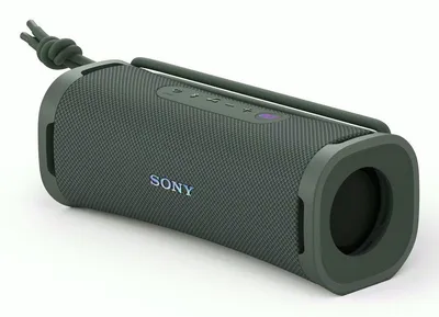 Sony SRSULT10H Altavoz portátil de fiesta Verde 30W