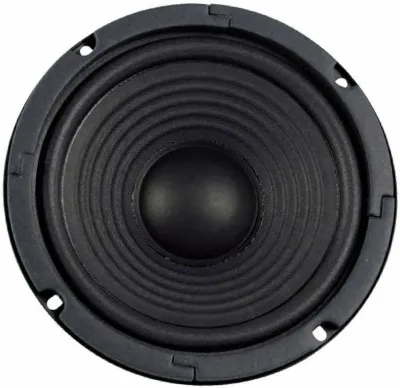 Visaton VSW2004 Altavoz 50W