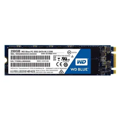 WD Blue SSD M.2 250GB SATA3